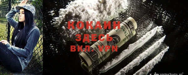 сатива Волоколамск