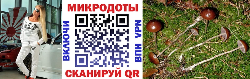 Псилоцибиновые грибы Cubensis цена наркотик Екатеринбург